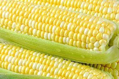 Corn