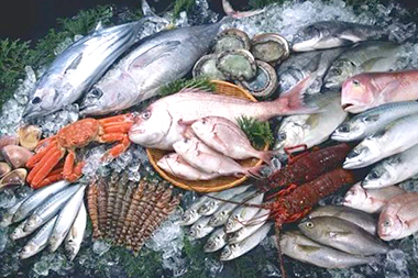 Frozen Seafoods(Shrimp, Squid, Etc)