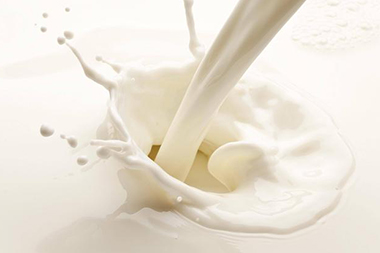 Dairy Products(Whey Powder,UHT Milk)