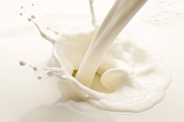 Dairy Products(Whey Powder,Uht Milk)