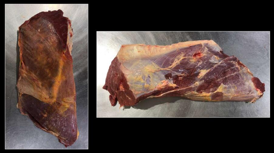 FROZEN MEAT(BEEF,PORK,POULTRY)