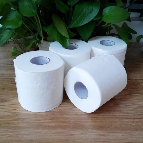 toilet paper