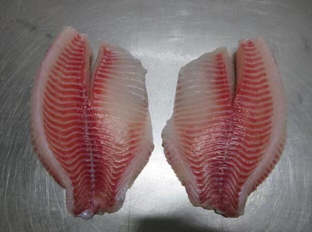 Tilapia