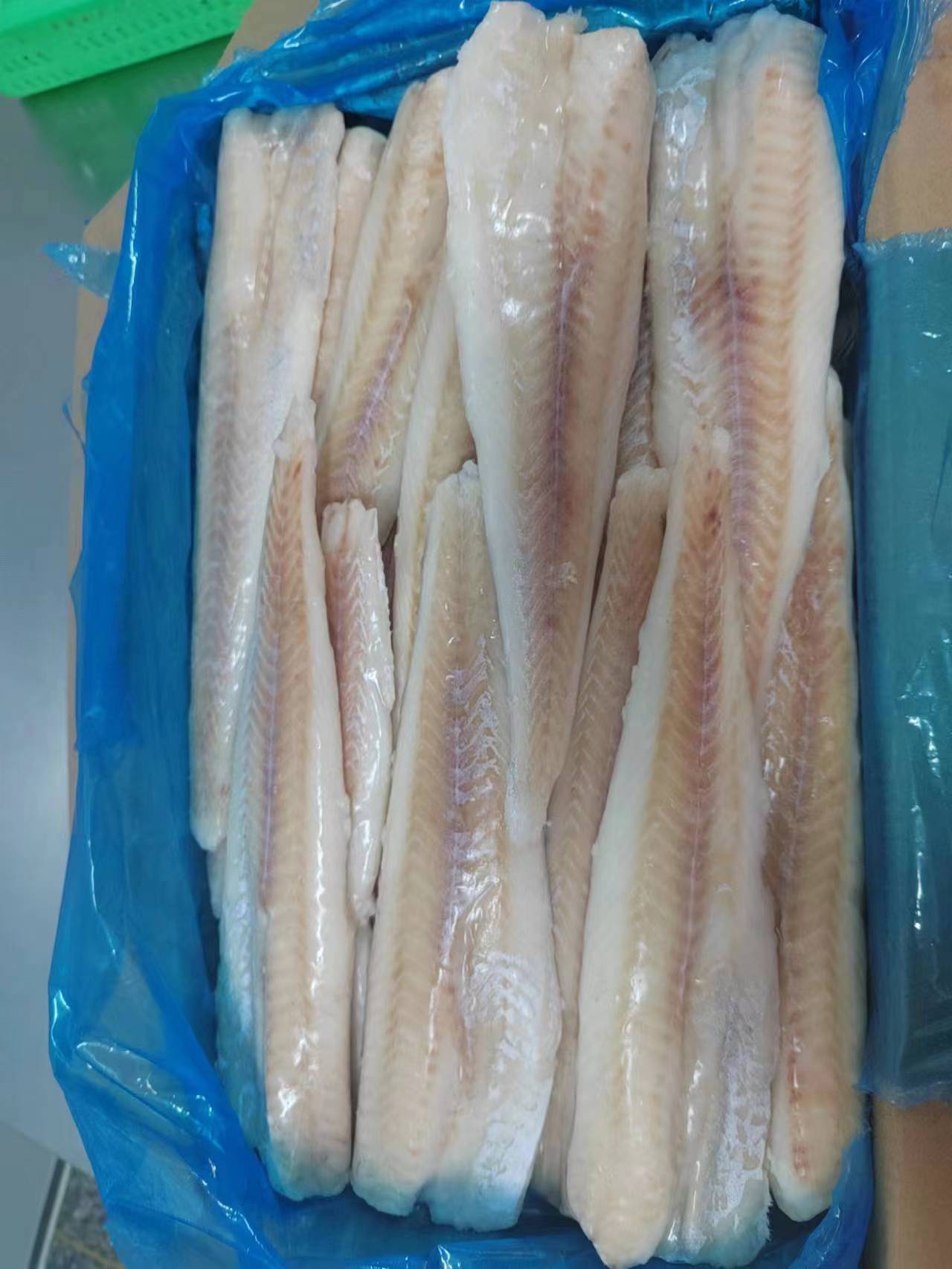 Frozen Alaska Pollock Fillets