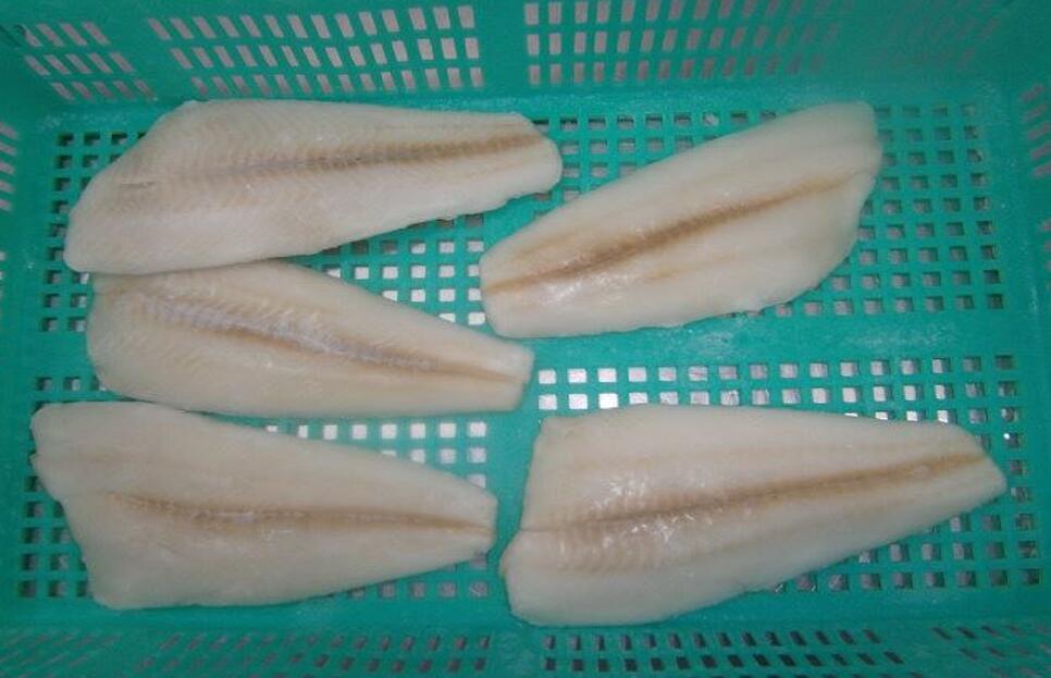 Frozen wild caught Kamchatka flounder portoins