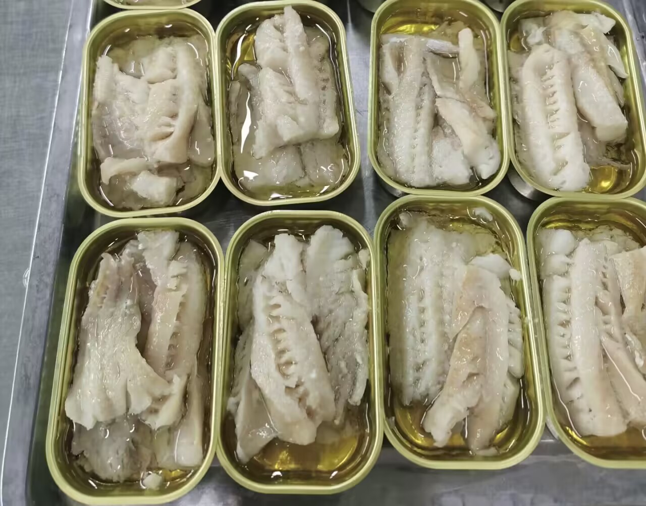 Canned Pollock(Bacalao)