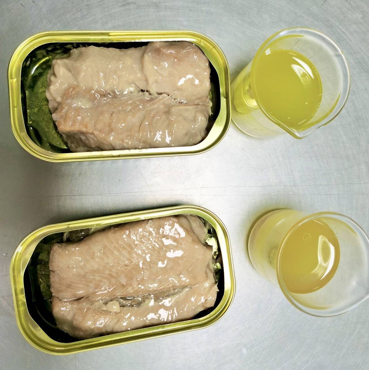 Canned Salmon